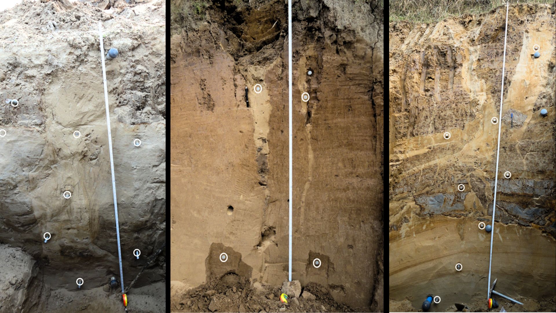 Sand Dikes 'reset' their internal clocks during powerful earthquakes, shows new study
